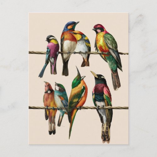 a stunning vintage birds on wire postcard