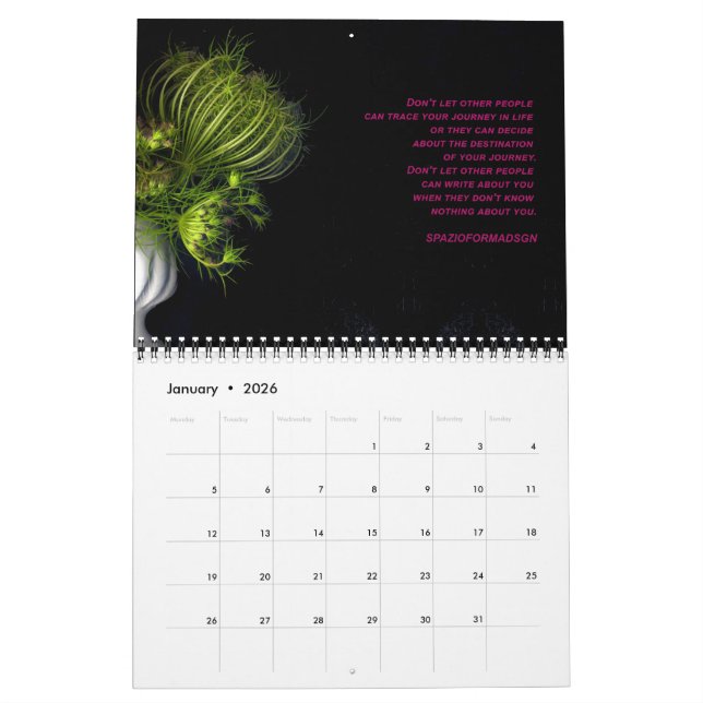 A sudden change in the garden calendar (Jan 2026)