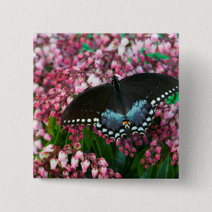 A Sulphur Butterfly In The Phoebis Family Button