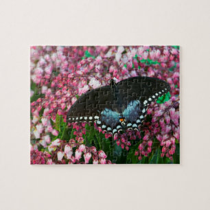 A Sulphur Butterfly   In The Phoebis Family Jigsaw Puzzle