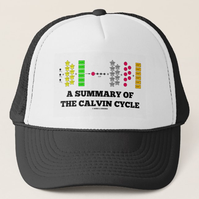 A Summary Of The Calvin Cycle (Photosynthesis) Trucker Hat (Front)