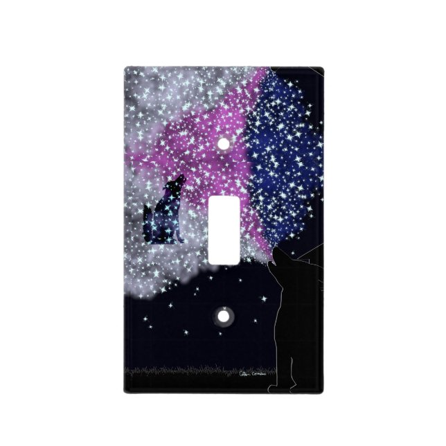 A Summer Night with Sirius  Light Switch Cover (Front)