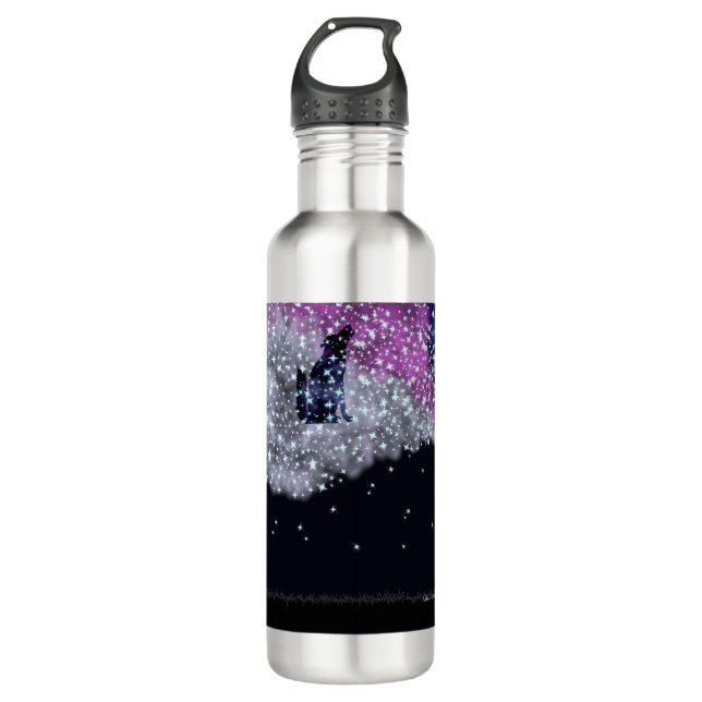 A Summer Night with Sirius  Stainless Steel Water Bottle (Front)