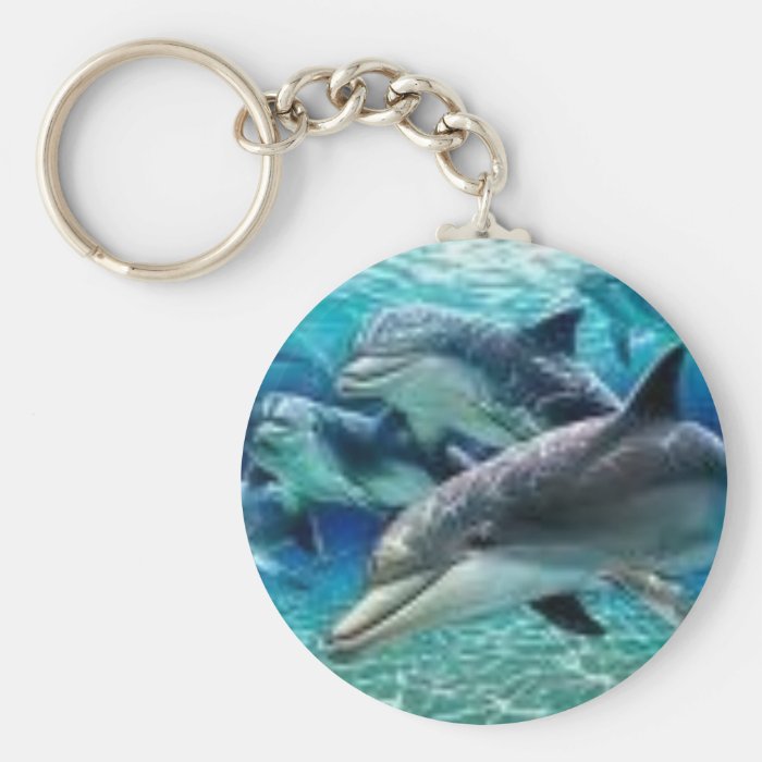 a sun light dolphin keychains
