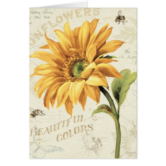 A Sunflower in Full Bloom Cards (Front)