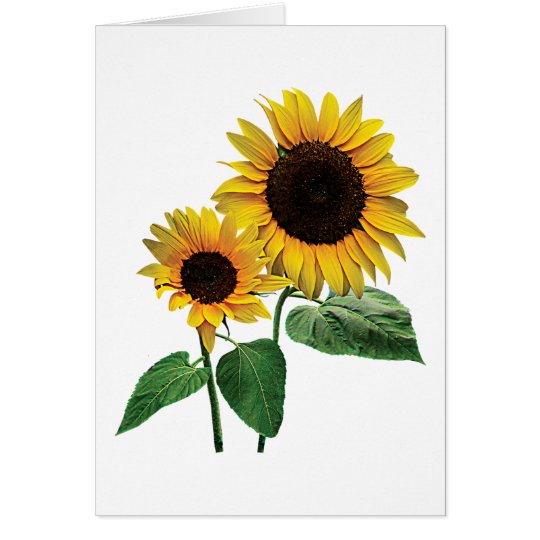 A Sunflower Mommy's Love Card