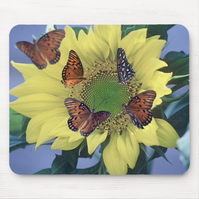 A Sunflower with Several Butterflies Mouse Pad (Front)