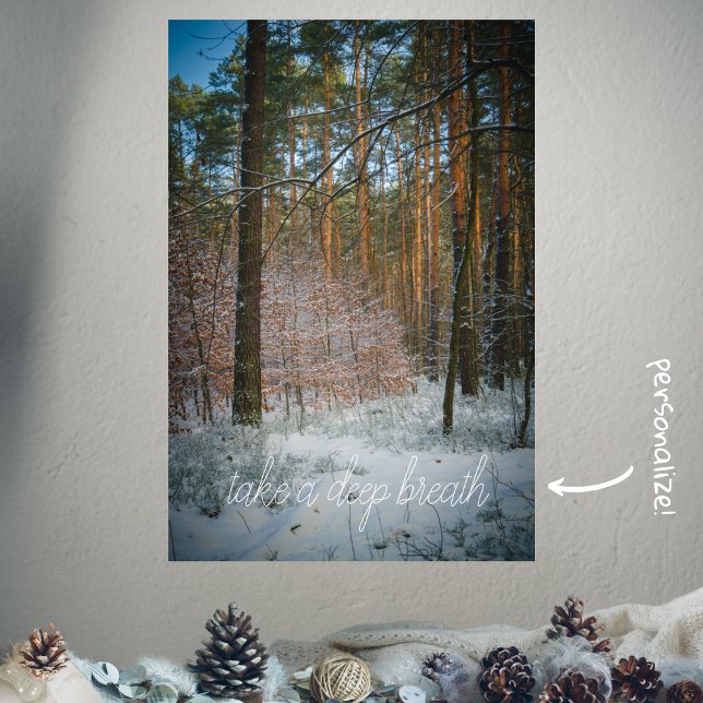 A sunny winter day in the pine forest poster (Creator Uploaded)