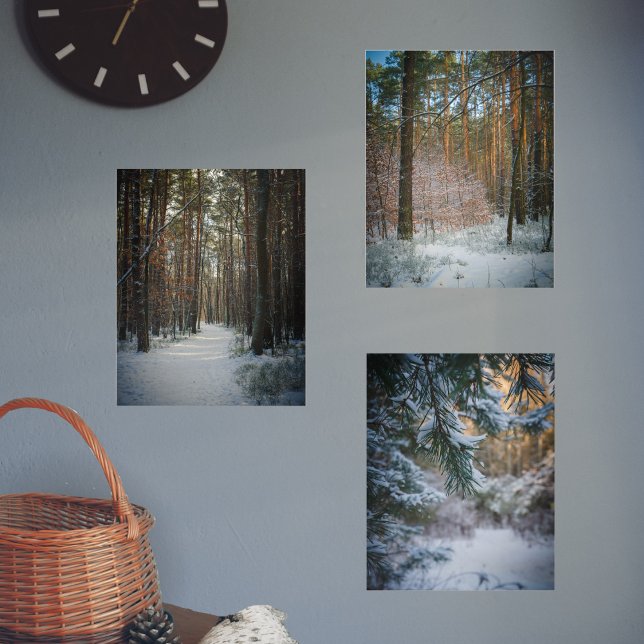A sunny winter day in the pine forest wall art sets (Creator Uploaded)