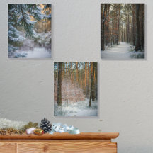 A sunny winter day in the pine forest