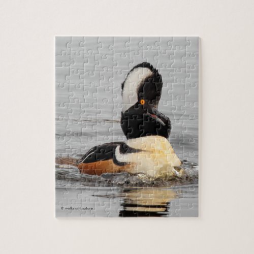 A Surprised Hooded Merganser Duck Jigsaw Puzzle
