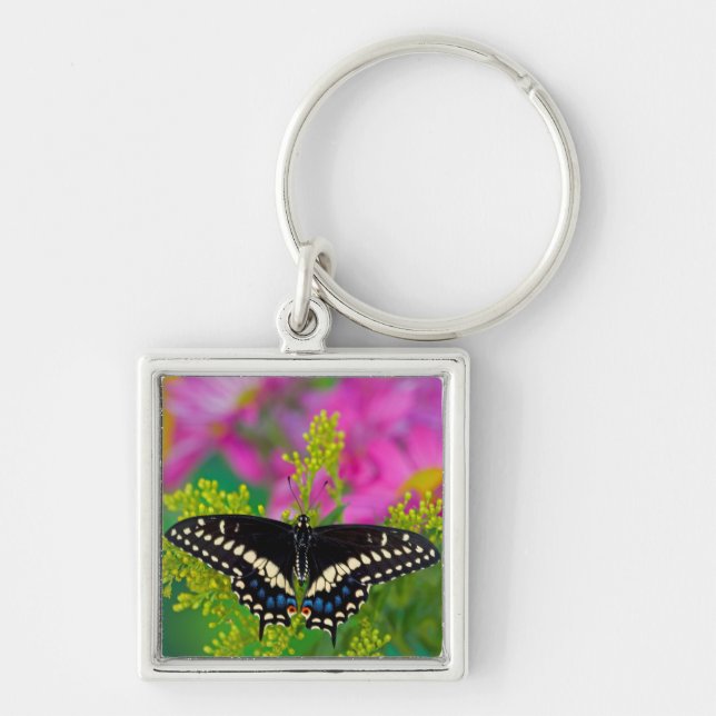 A Swallowtail-Butterfly Landing Keychain (Front)