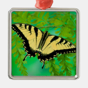 A Swallowtail Butterfly Landing Metal Ornament