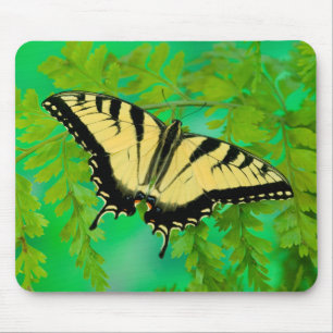 A Swallowtail Butterfly Landing Mouse Pad