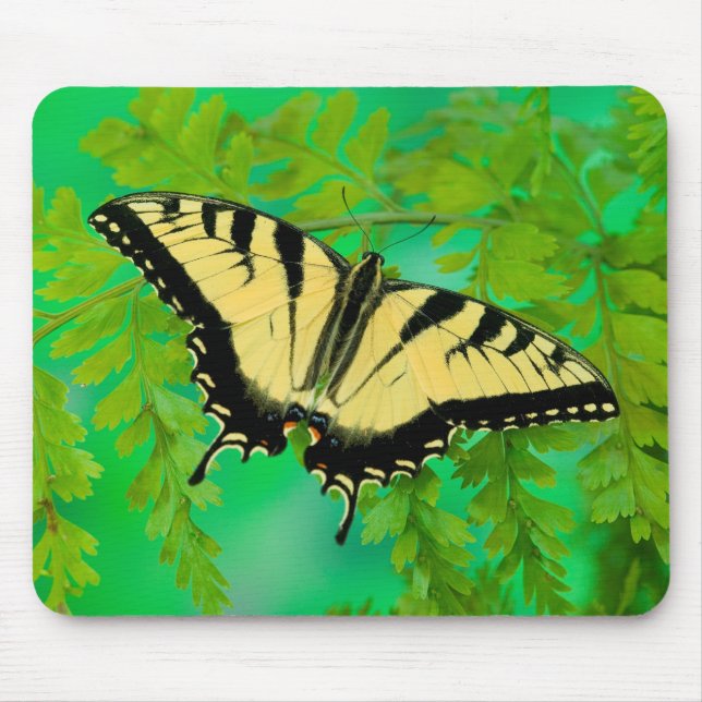 A Swallowtail Butterfly Landing Mouse Pad (Front)