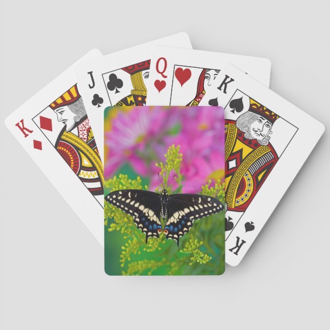 A Swallowtail-Butterfly Landing Poker Cards (Back)