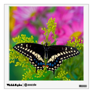 A Swallowtail-Butterfly Landing Wall Decal