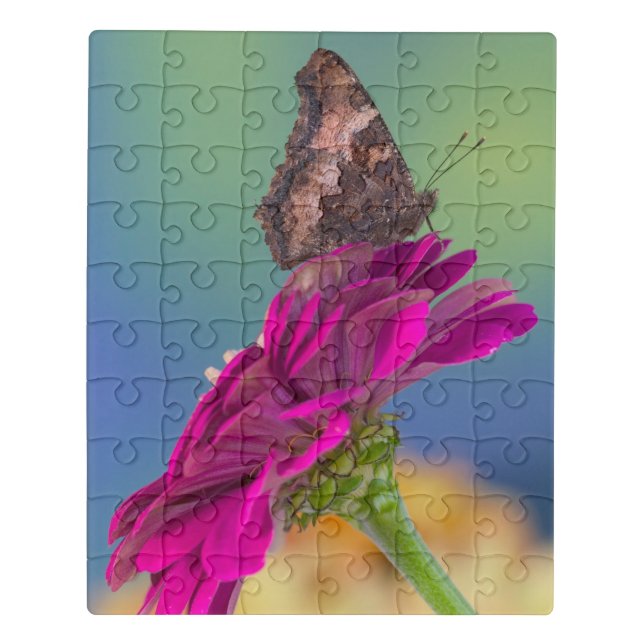 A Swallowtail Butterfly | Papilio Multicaudatus Jigsaw Puzzle (Puzzle Vertical)