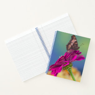 A Swallowtail Butterfly   Papilio Multicaudatus Notebook