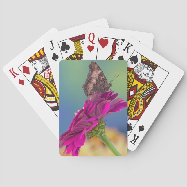 A Swallowtail Butterfly | Papilio Multicaudatus Poker Cards (Back)