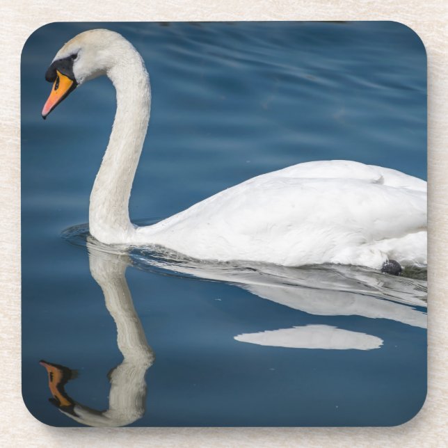 A swan and its reflection hard plastic coasters (Front)