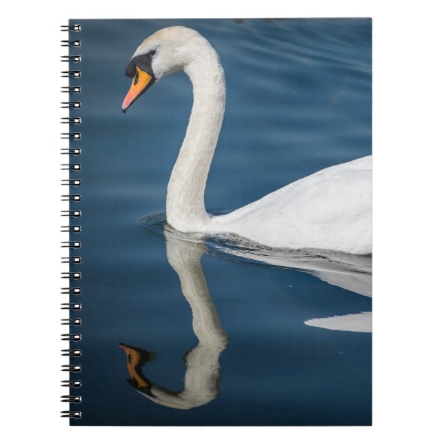 A swan and its reflection notebook (Front)