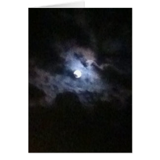 A Swan In The Full Moon