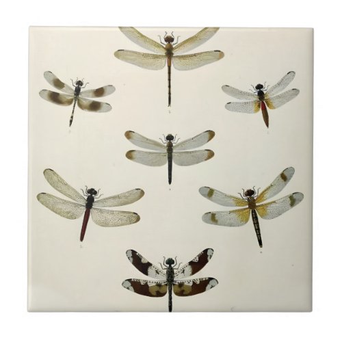 a swarm of retro dragonflies  tiles