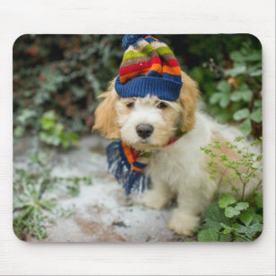 A Sweet Cavachon Puppy In A Winter Hat And Scarf Mouse Pad