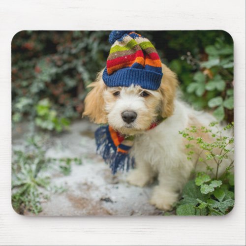 A Sweet Cavachon Puppy In A Winter Hat And Scarf Mouse Pad