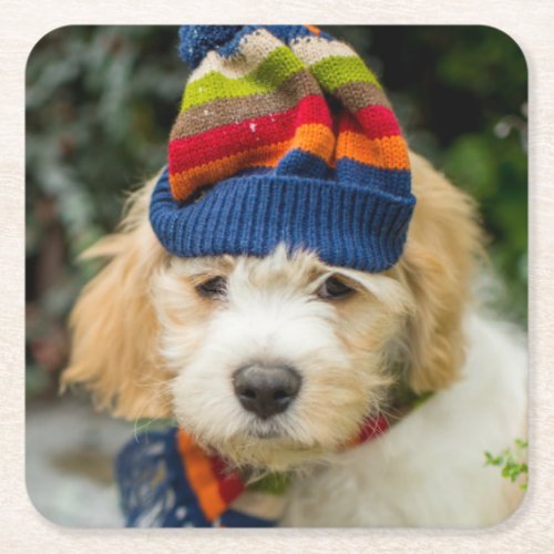 A Sweet Cavachon Puppy In A Winter Hat And Scarf Square Paper Coaster