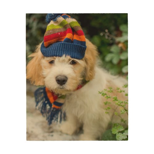 A Sweet Cavachon Puppy In A Winter Hat And Scarf Wood Wall Art