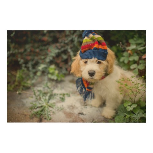 A Sweet Cavachon Puppy In A Winter Hat And Scarf Wood Wall Decor