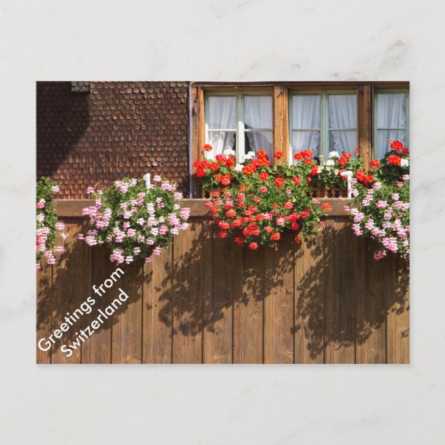 A Swiss flowery windows Postcard (Front)