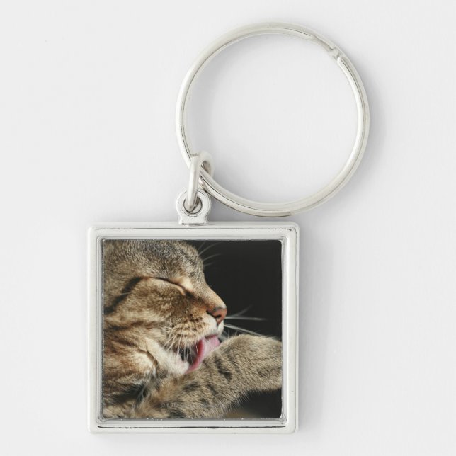 A tabby cat licking his paw. keychain (Front)