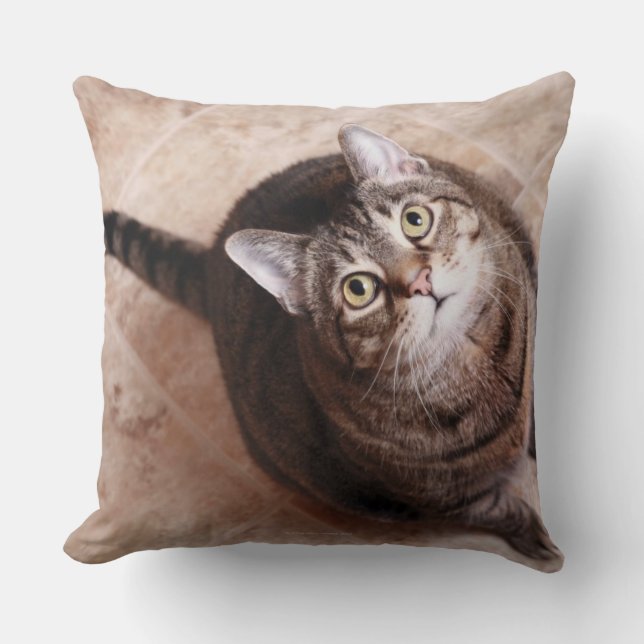 A tabby cat looking up throw pillow (Front)