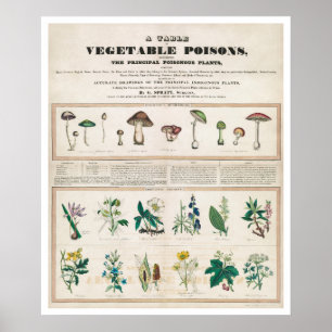 A Table of Vegetable Poisons Vintage Poster