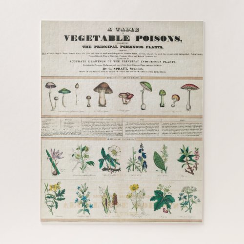A Table of Vegetable Poisons Vintage Poster Jigsaw Puzzle