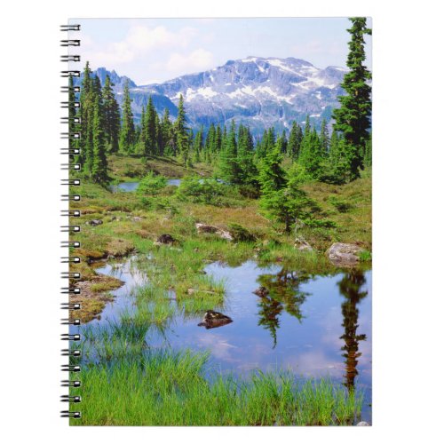 A tarn in the backcountry of Vancouver Island Notebook