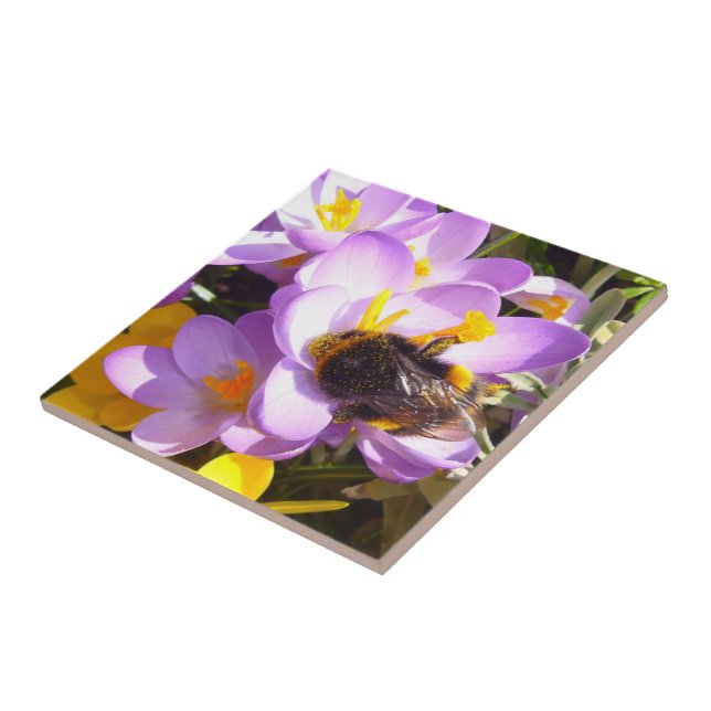 A Taste of Spring ~ Ceramic Tile (Side)