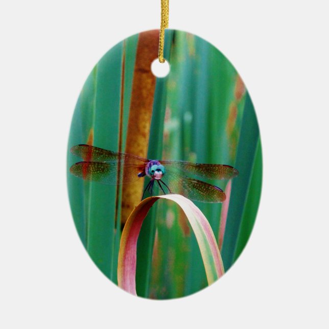 A teal Eyed Dragonfly with cattails Ceramic Ornament (Front)