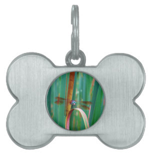 A teal Eyed Dragonfly with cattails Pet Tag