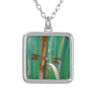 A teal Eyed Dragonfly with cattails Silver Plated Necklace