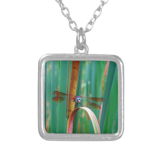 A teal Eyed Dragonfly with cattails Silver Plated Necklace (Front)