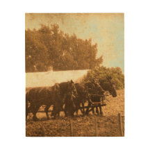 A Team of Horses