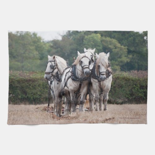 A team of Percherons Kitchen Towel