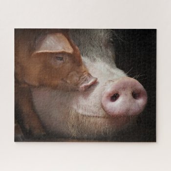 A Tender Moment Momma & Baby Pig Jigsaw Puzzle by WackemArt at Zazzle