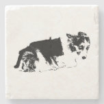 A Tender Pause Stone Coaster
