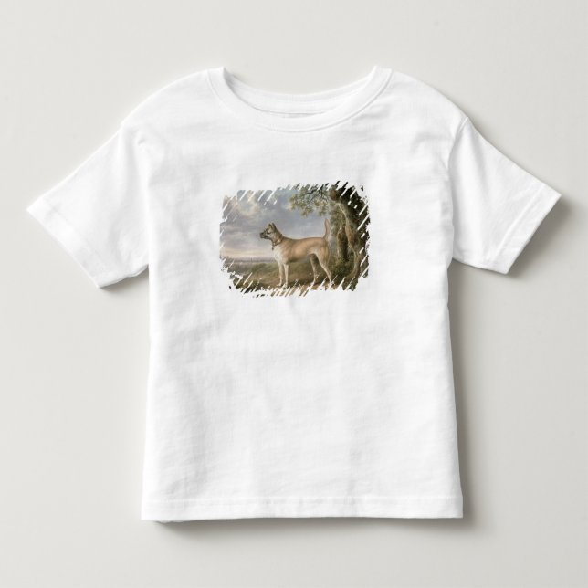 A Terrier on a path in a wooded landscape Toddler T-shirt (Front)