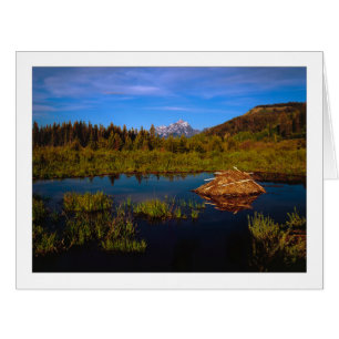 "A Teton Summer" Cards